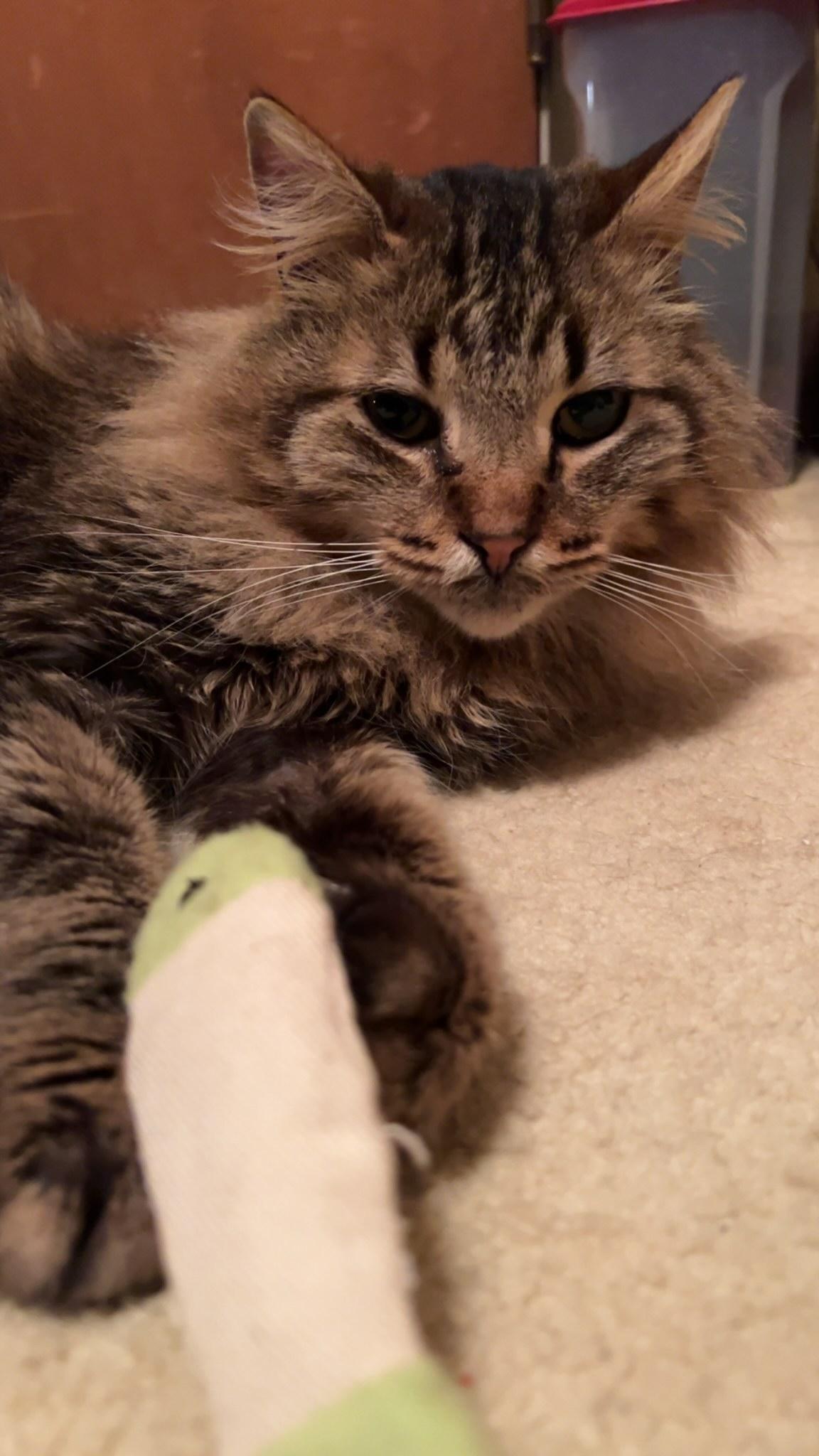 Oskar photo 2