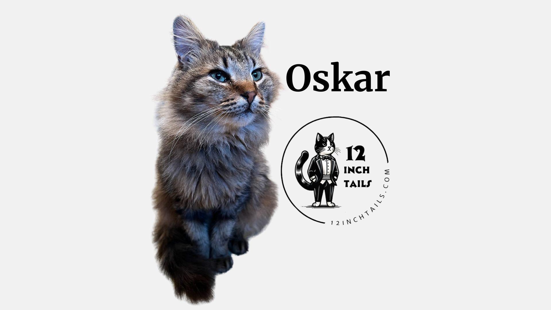 Oskar photo 3