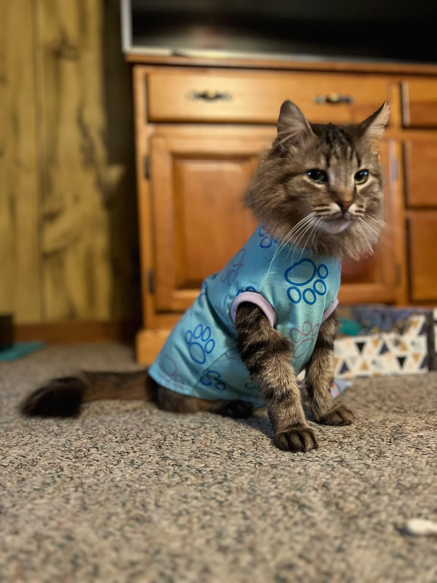 Oskar