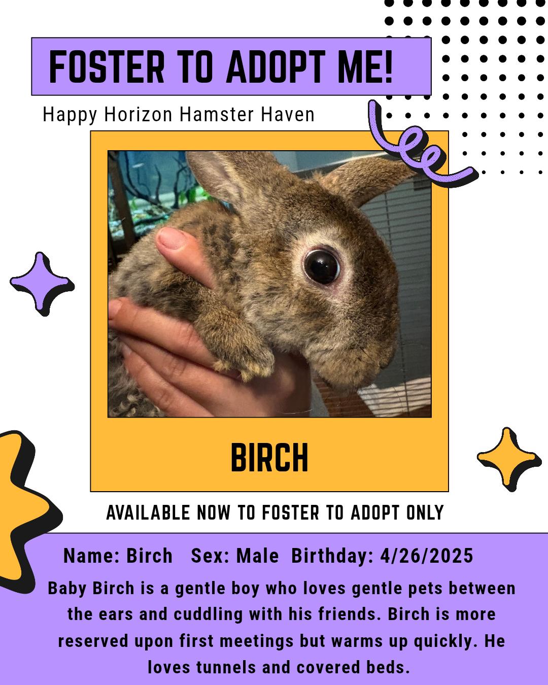 Birch