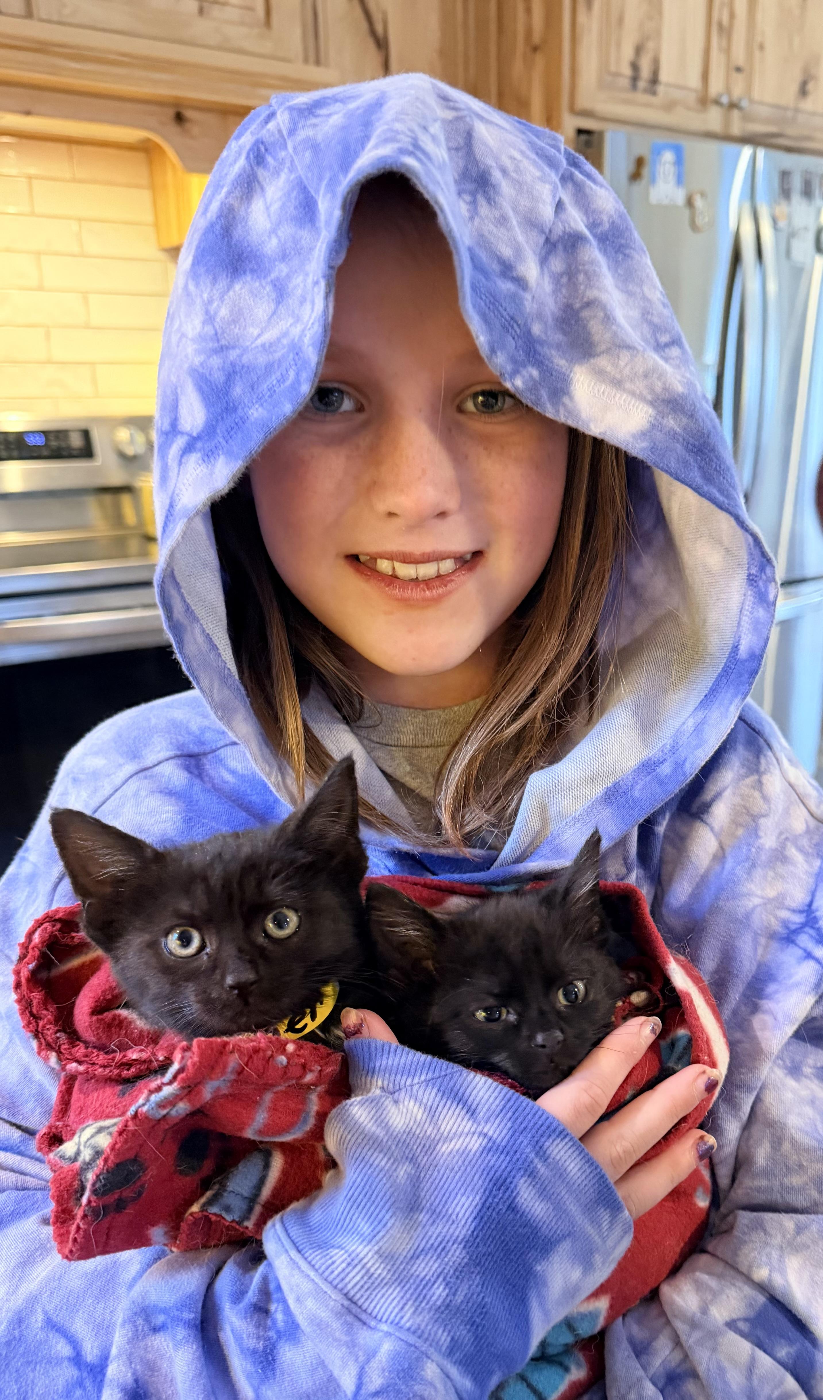 Enlarge Cracker, a Adopted mixed breed in Pittsburgh, PA image 5/5