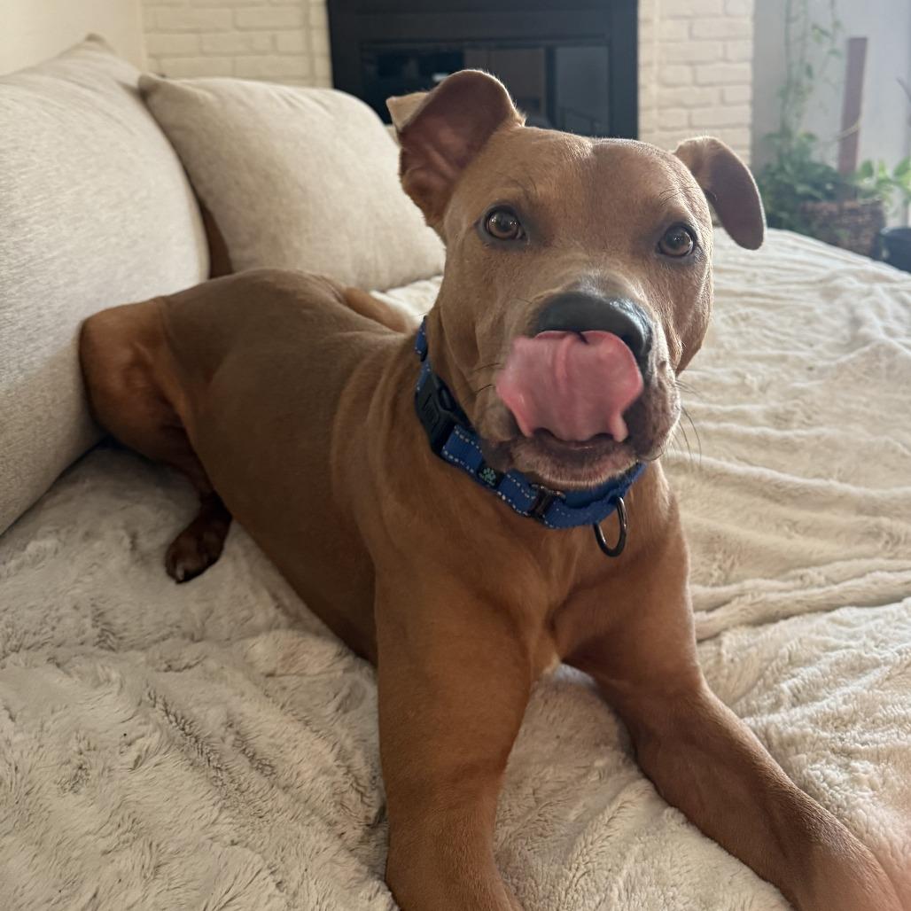 Hulk — thumbnail 2