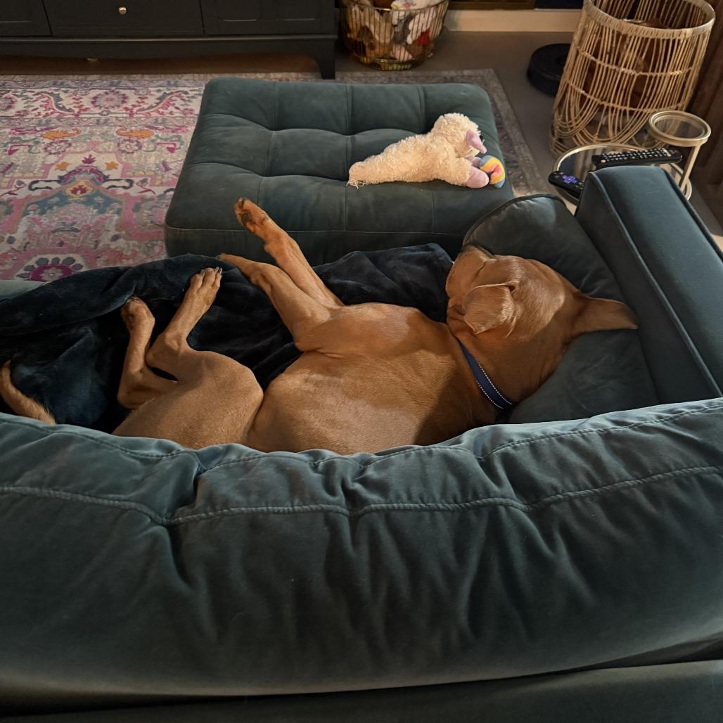 Hulk — thumbnail 4