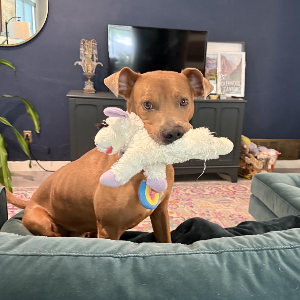 Hulk — thumbnail 6