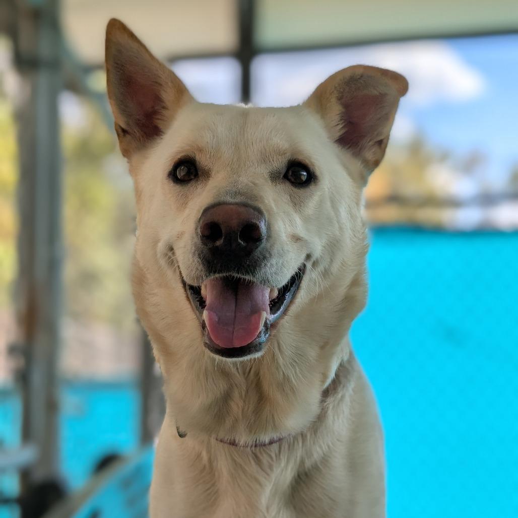 Sasha — thumbnail 2