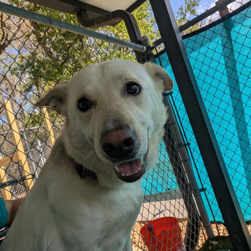 Sasha — thumbnail 3