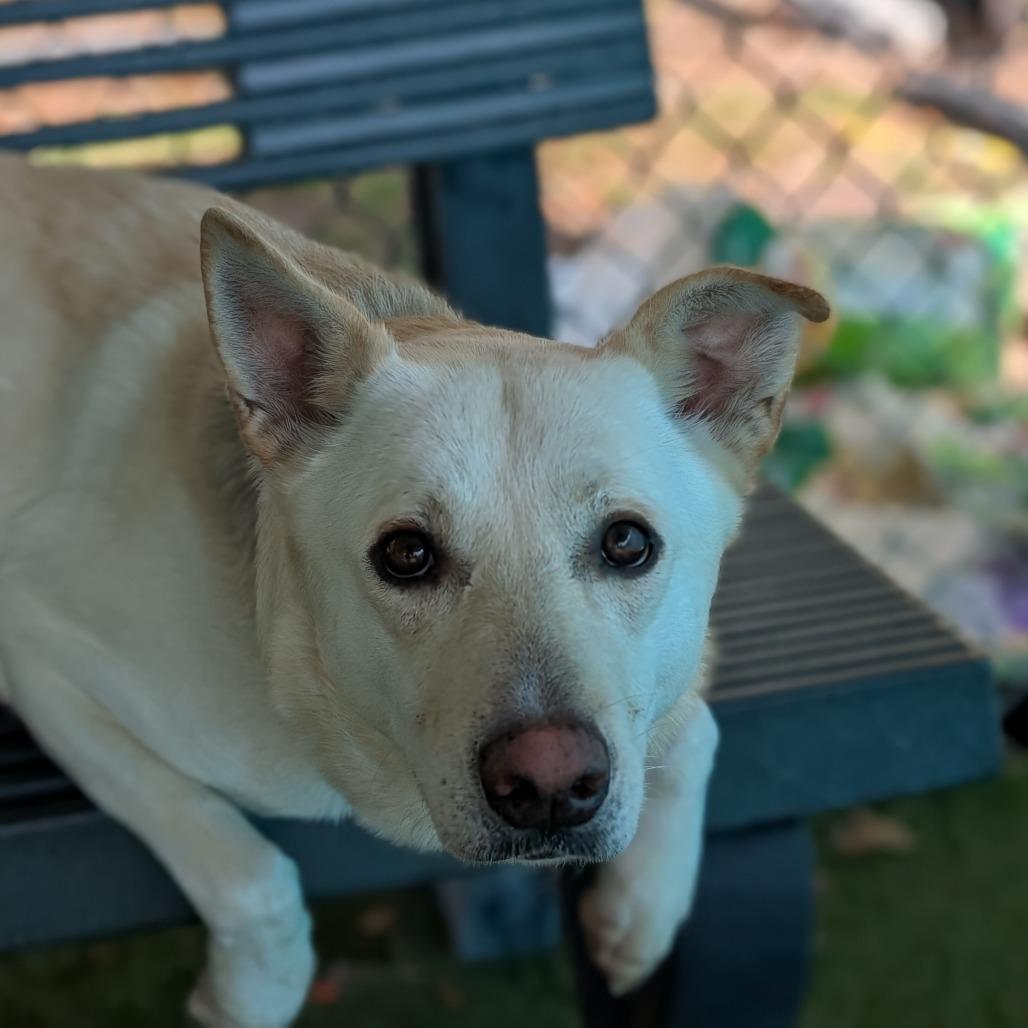 Sasha — thumbnail 4