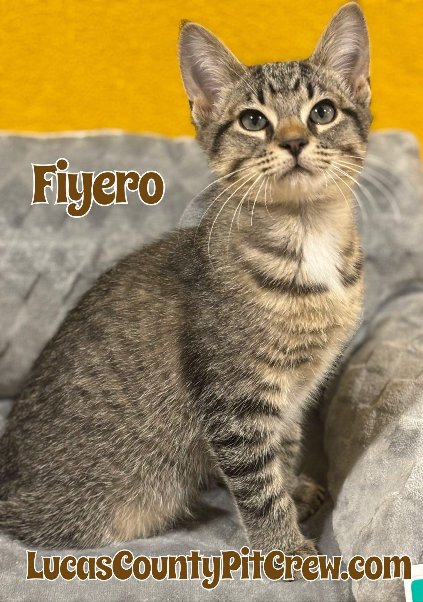 Fiyero