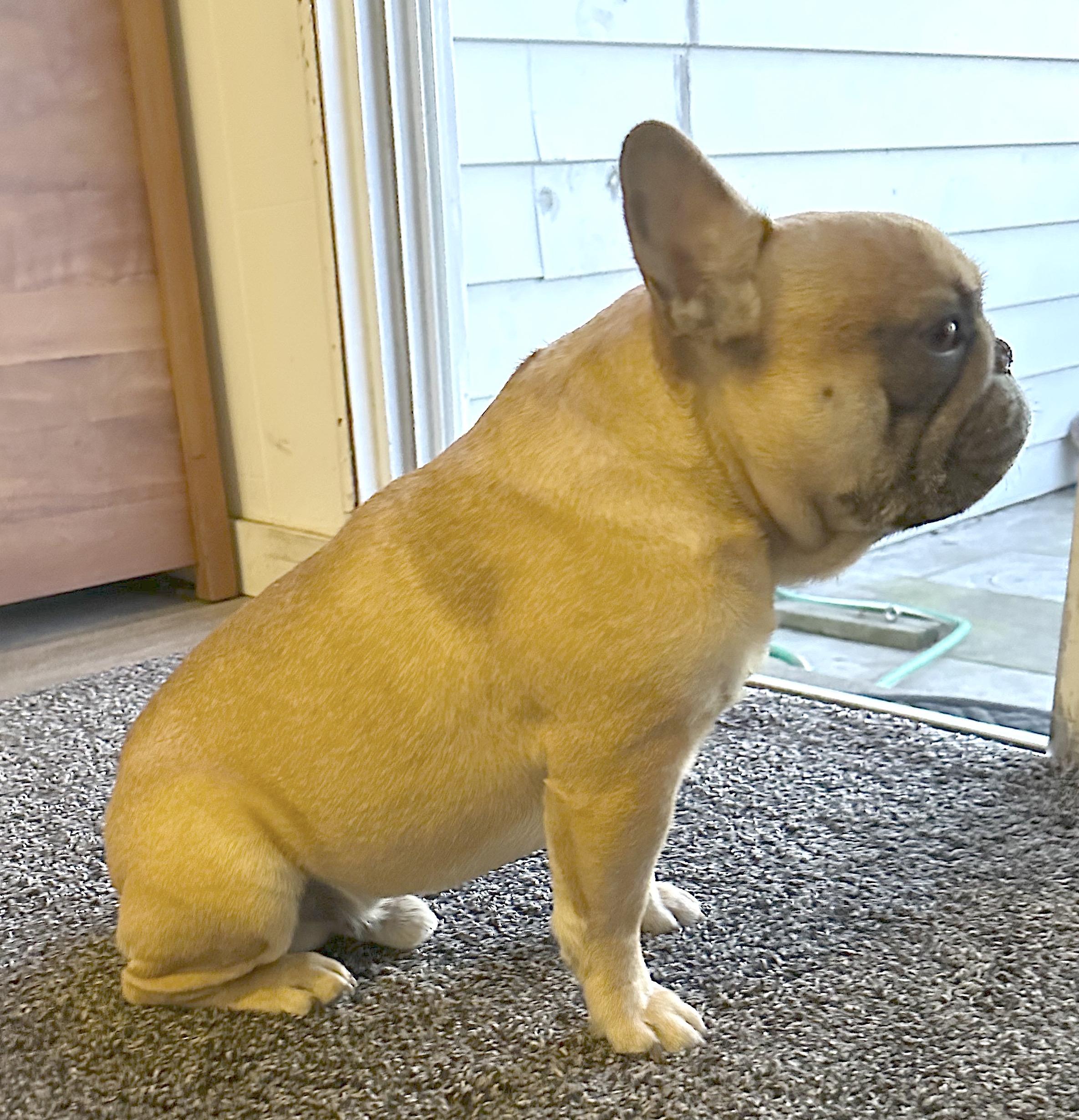 Buddy thumbnail 2