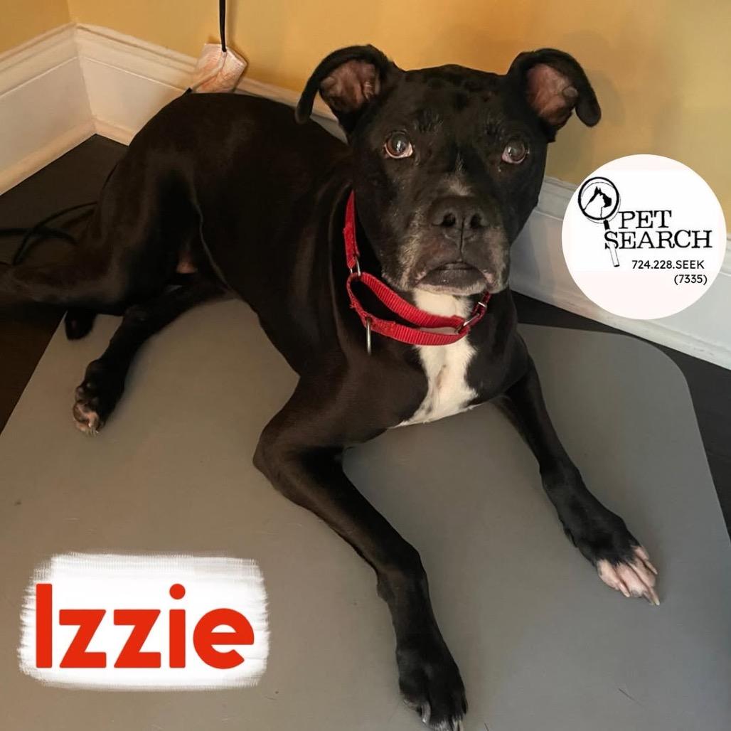 Izzie — thumbnail 2