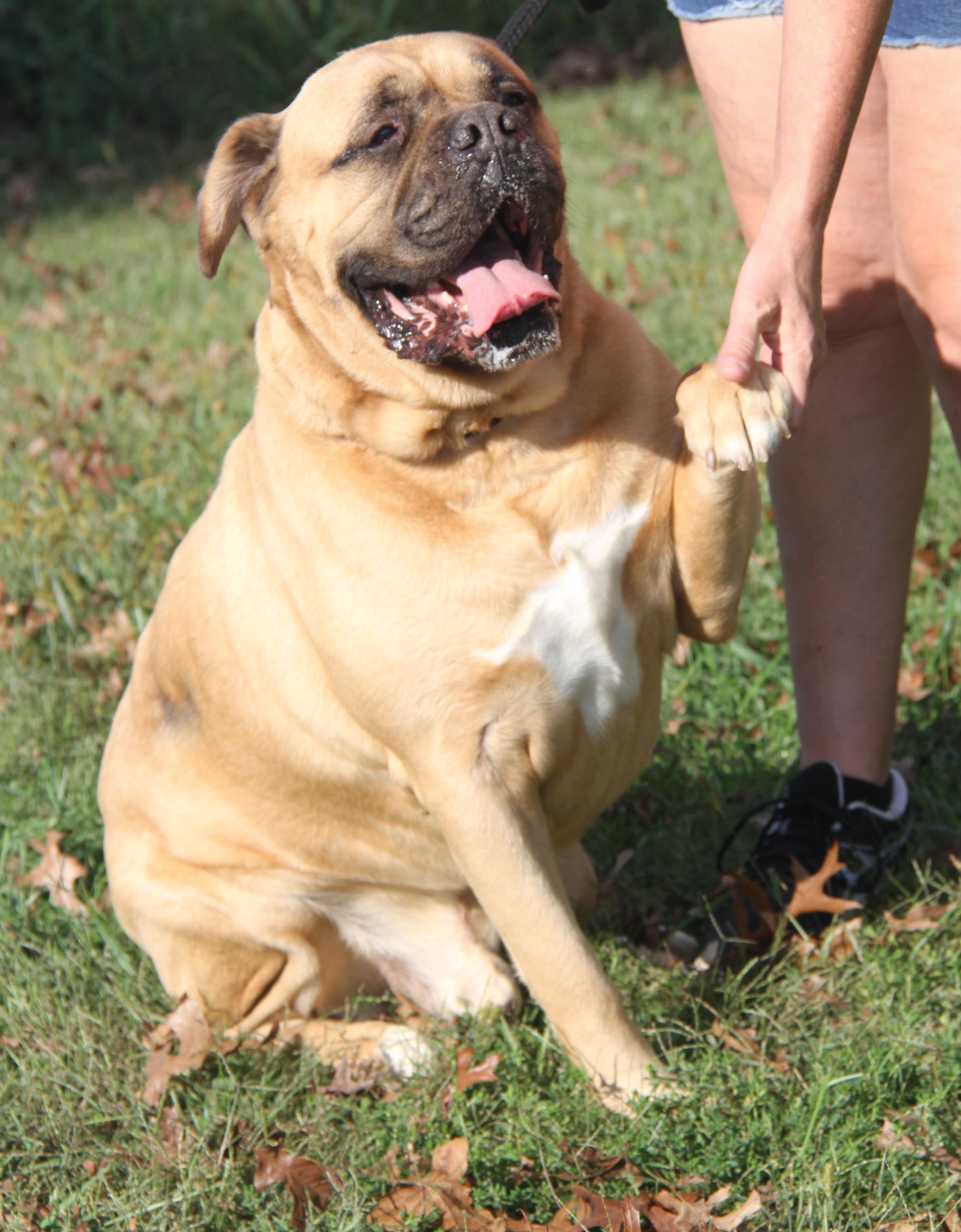 Hazard & Moose thumbnail 5