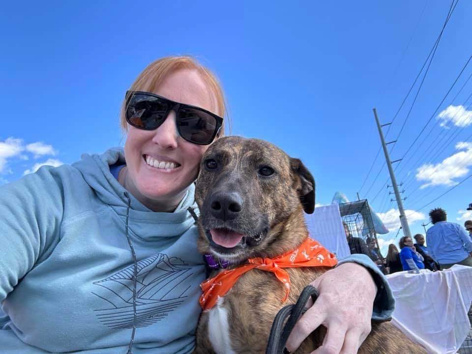 Brandy, Adopted, Adult Female Mixed Breed & Mountain Cur.