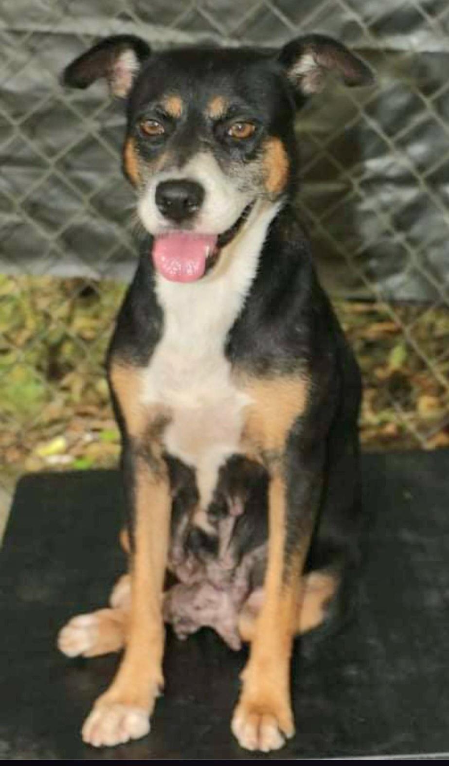 Britney "you + Me thumbnail 2