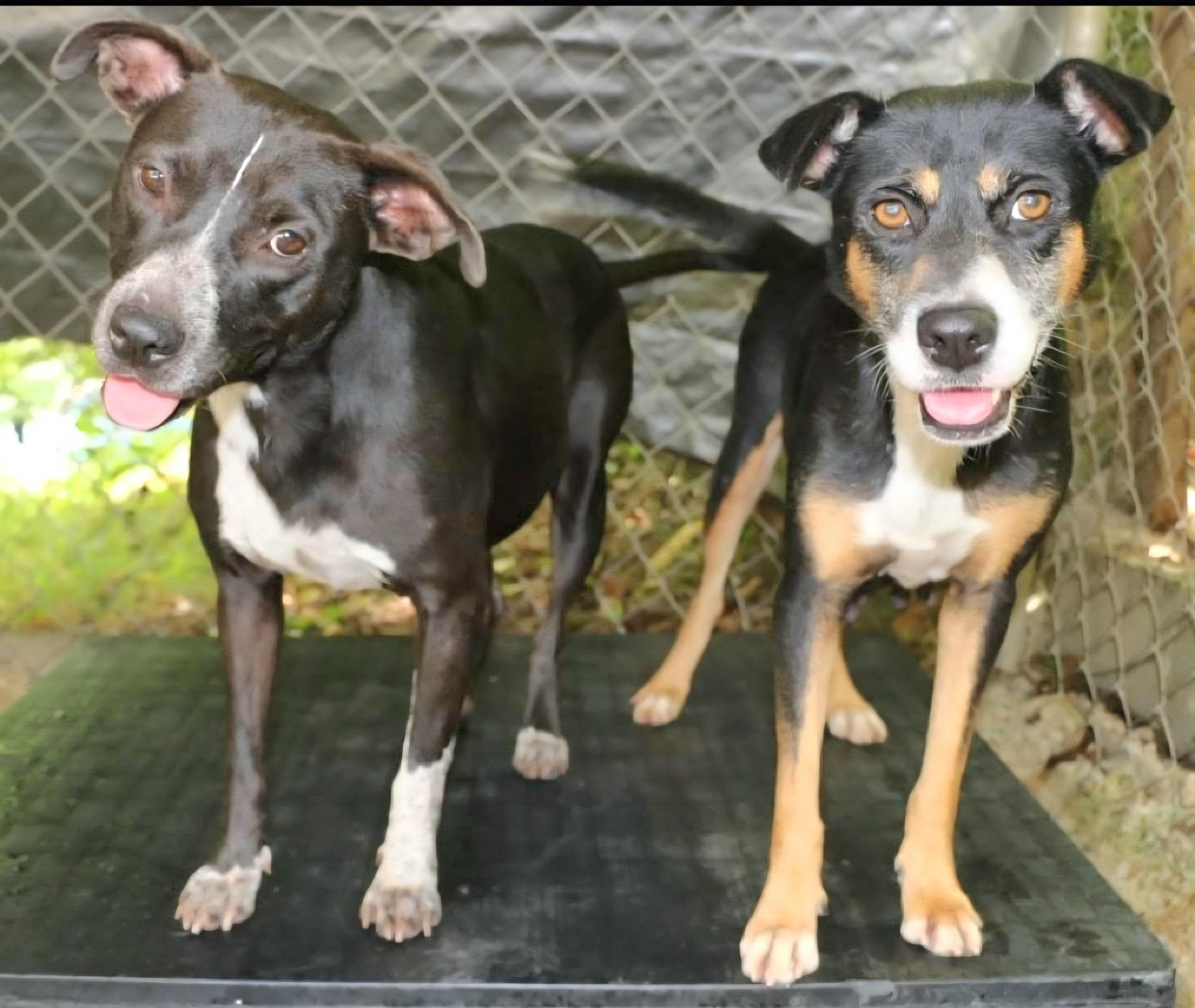 Britney "you + Me thumbnail 3