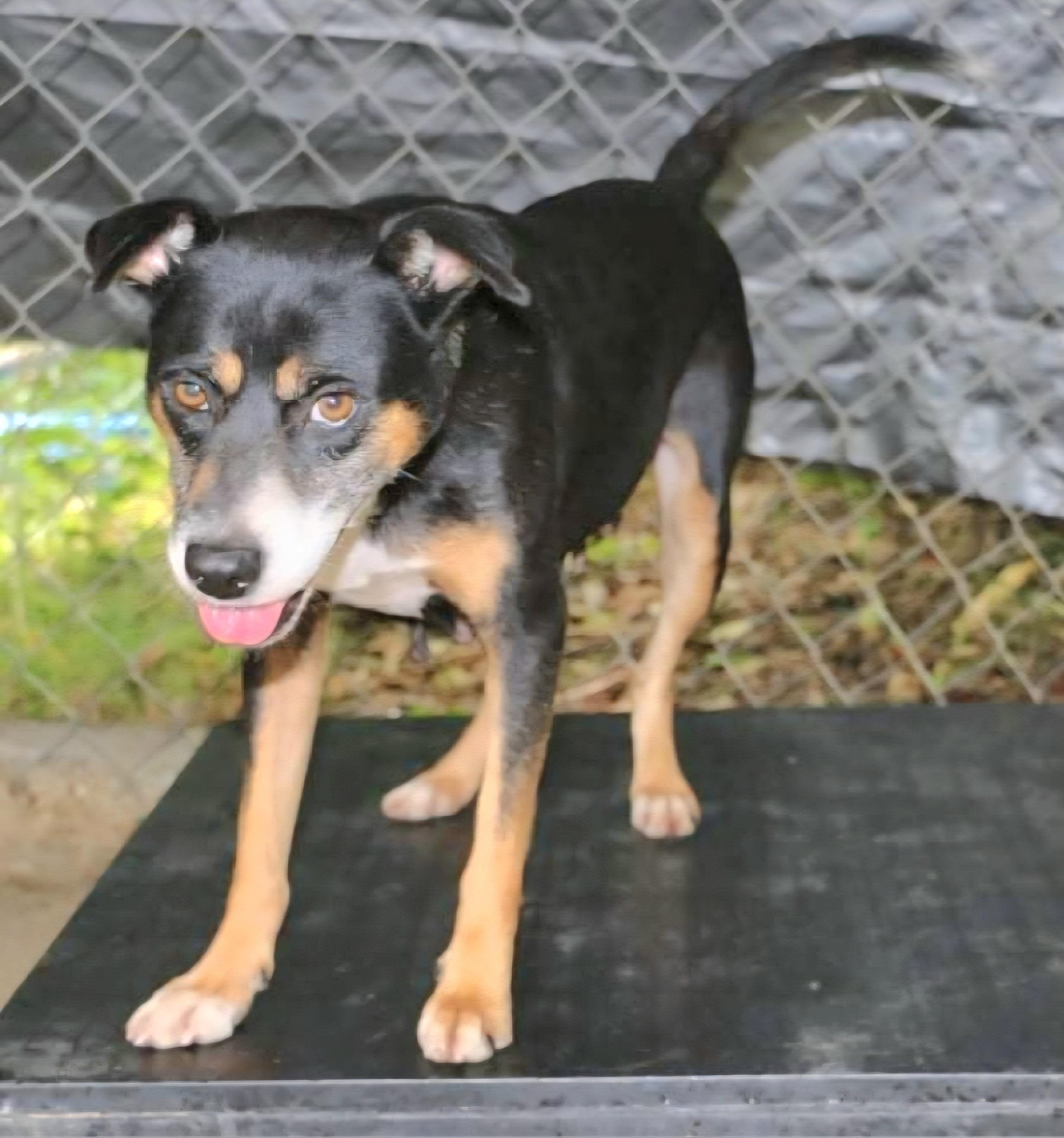 Britney "you + Me thumbnail 4