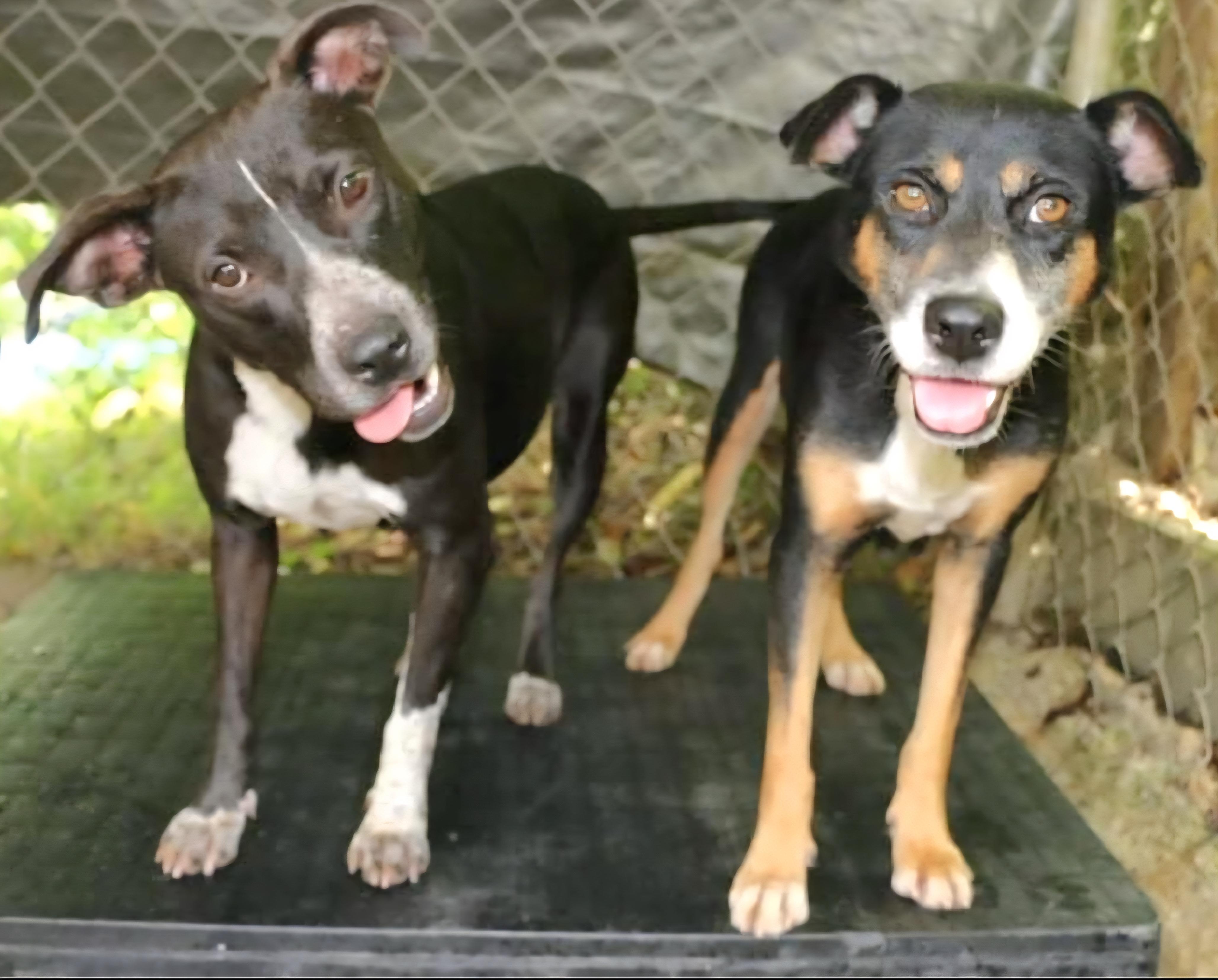 Britney "you + Me thumbnail 5