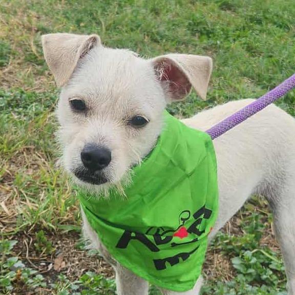 Tylor Fj thumbnail 2