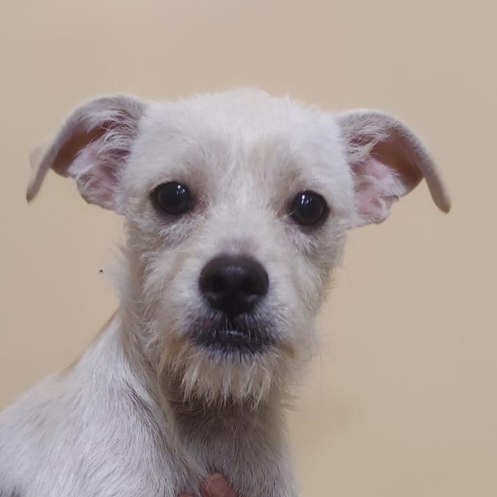 Tylor Fj thumbnail 3