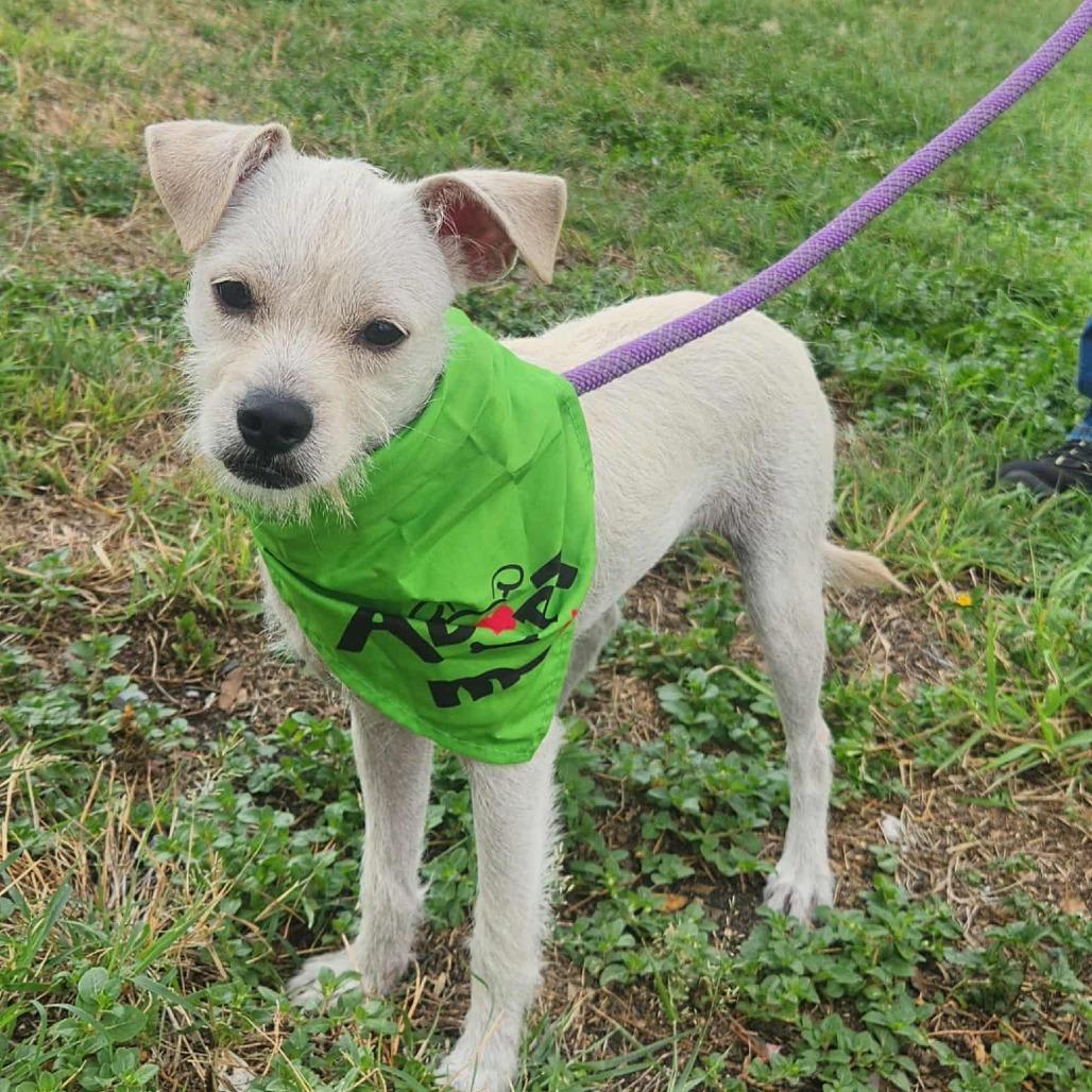 Tylor Fj thumbnail 4