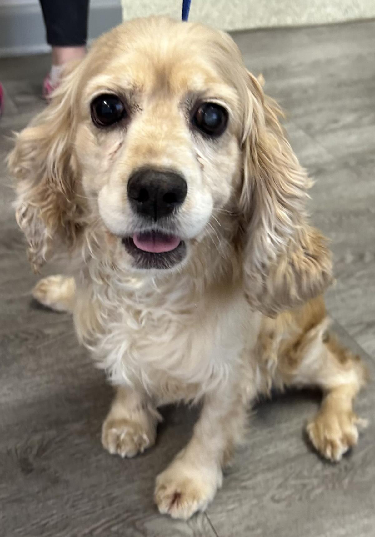 Felicity thumbnail 3