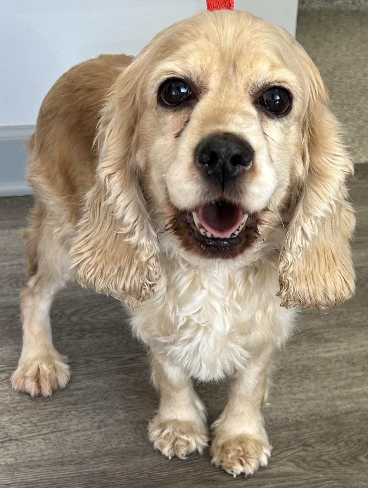 Felicity thumbnail 4