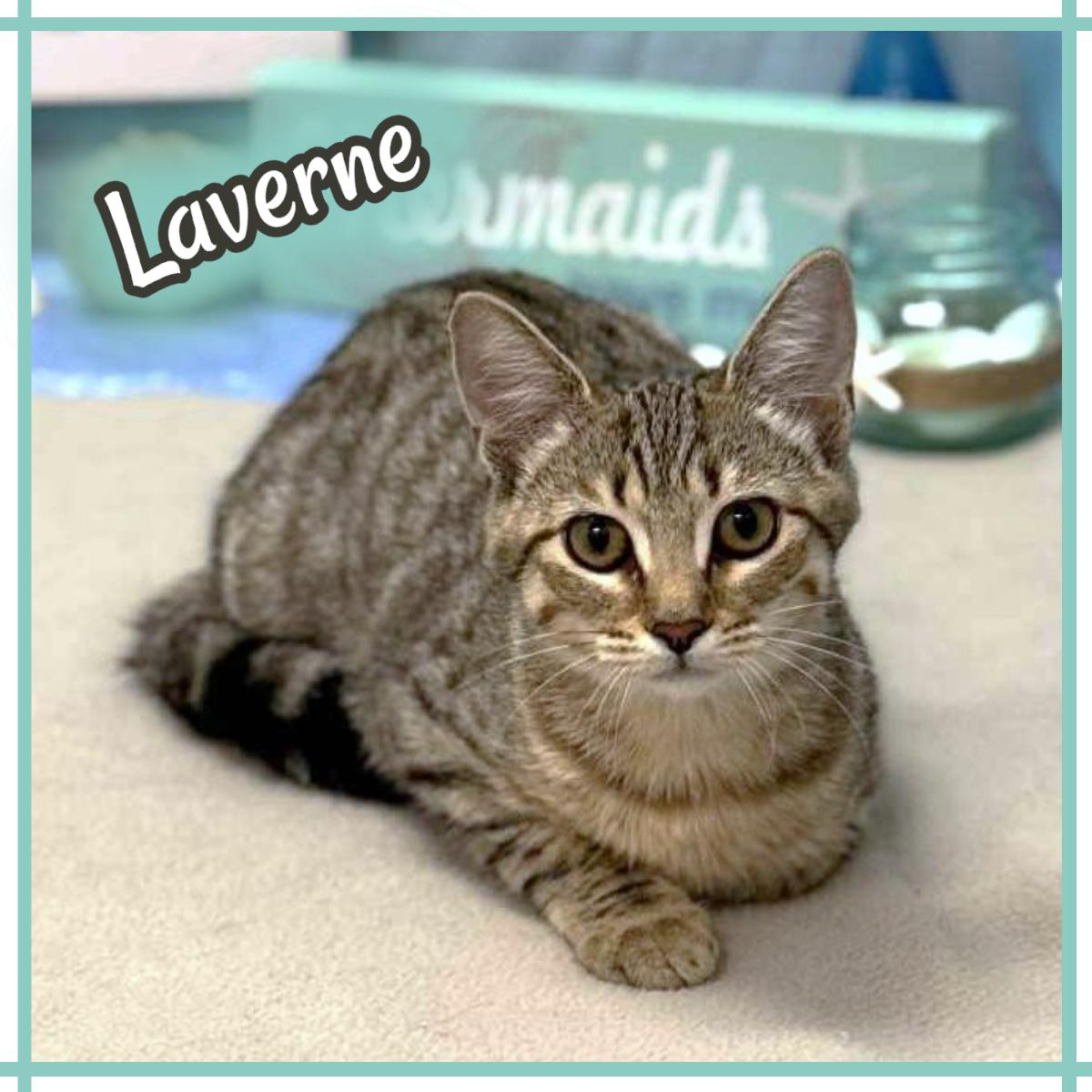 Laverne