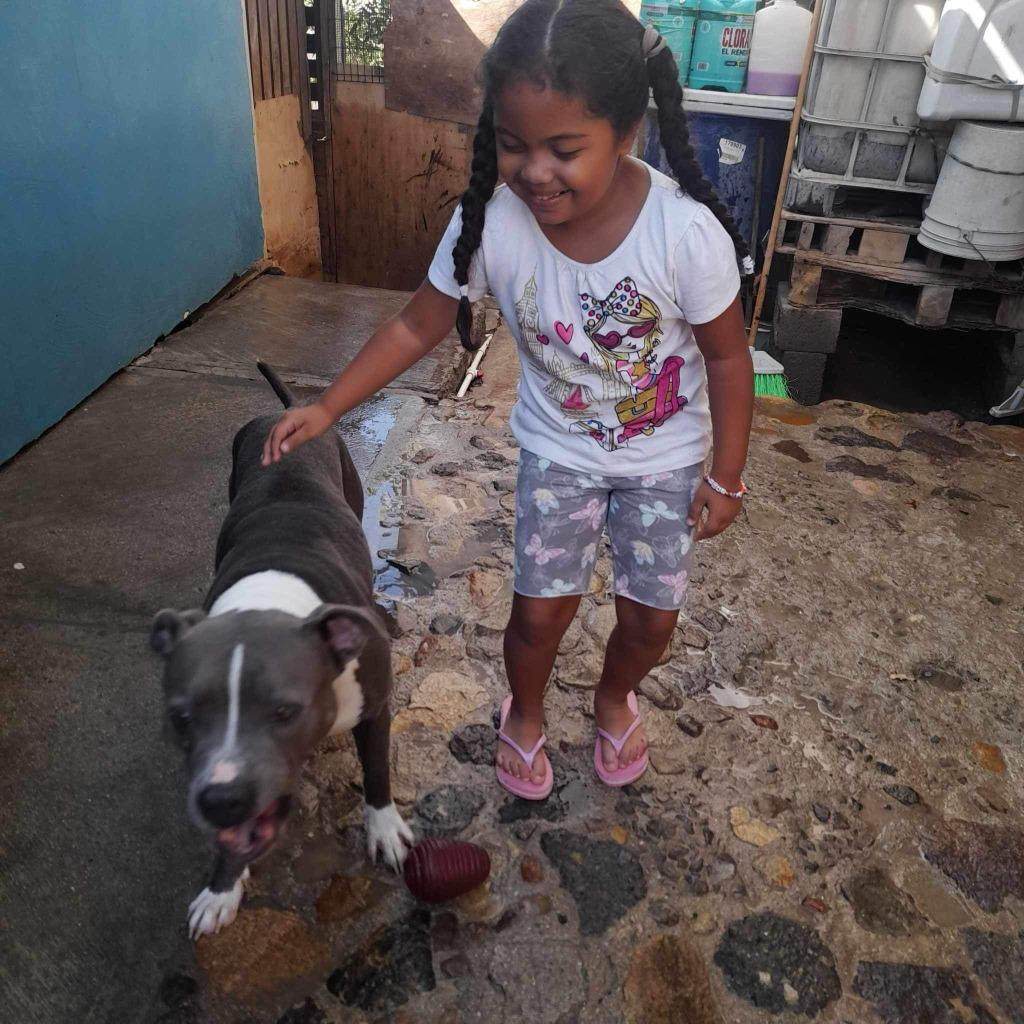 Enlarge Valentina  (CP) - Adopt Me!, a Adoptable mixed breed in Lake Forest, CA image 2/6