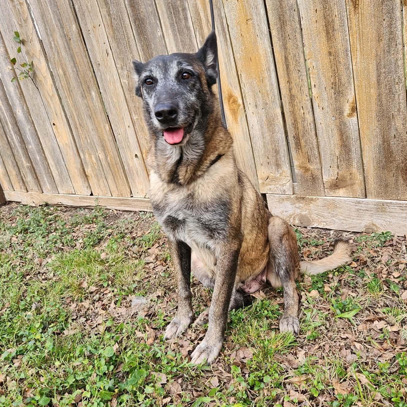 Valentina — thumbnail 2