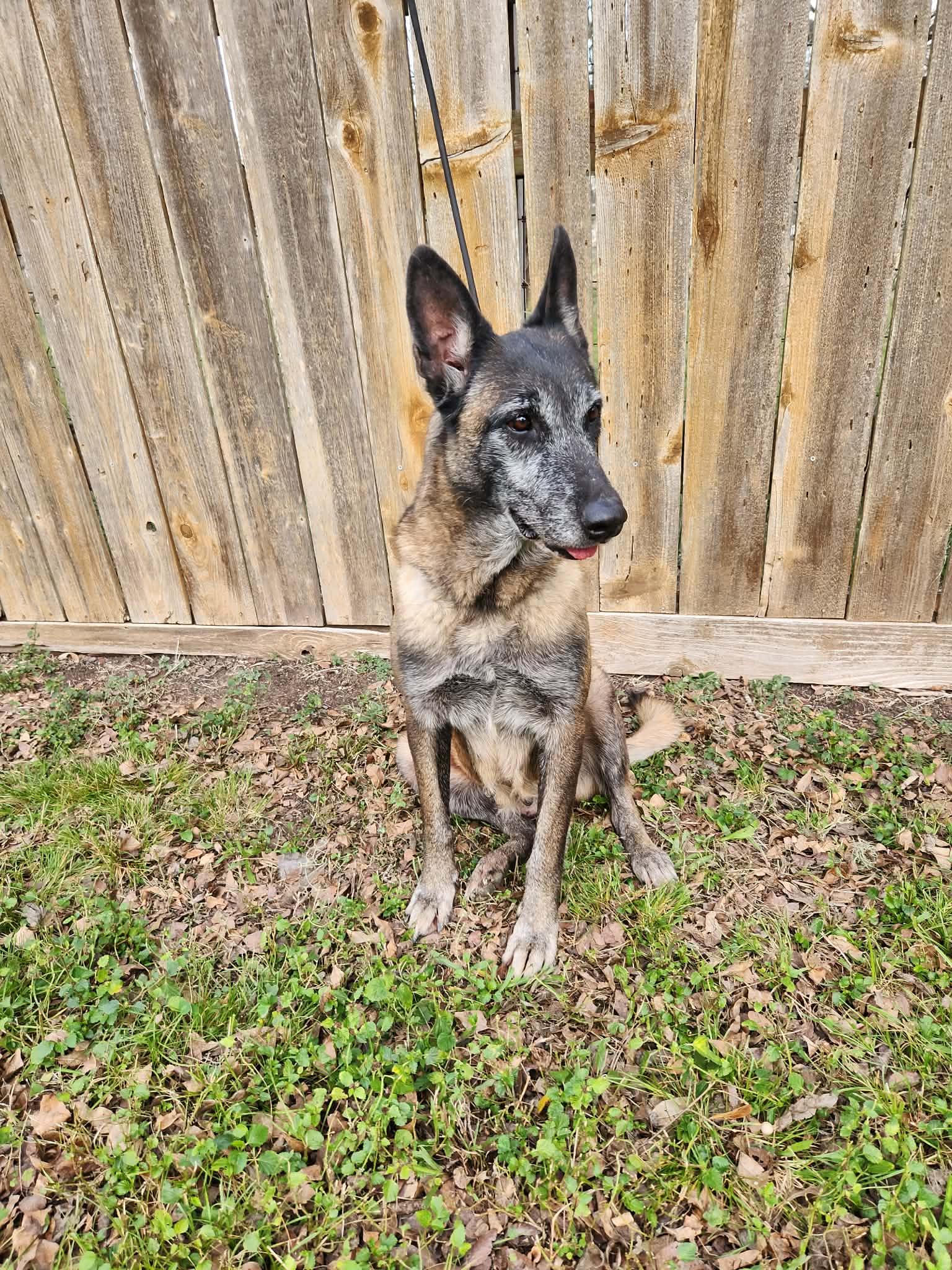 Valentina — thumbnail 3