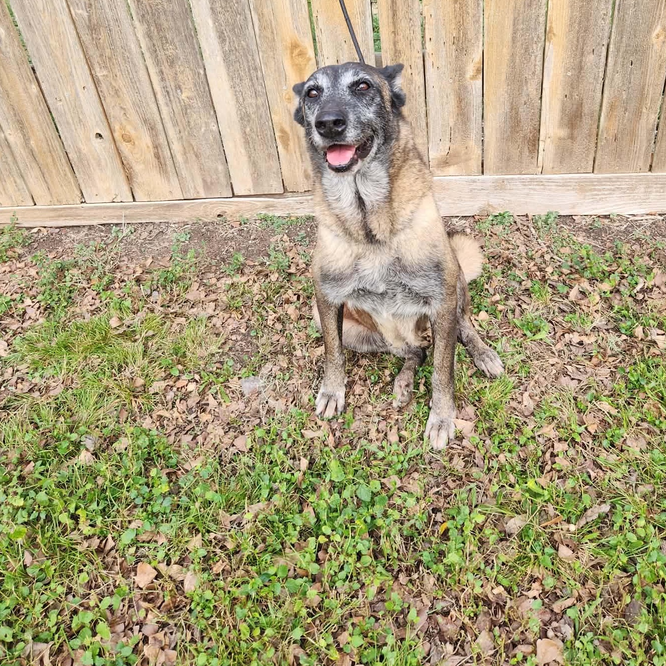 Valentina — thumbnail 4