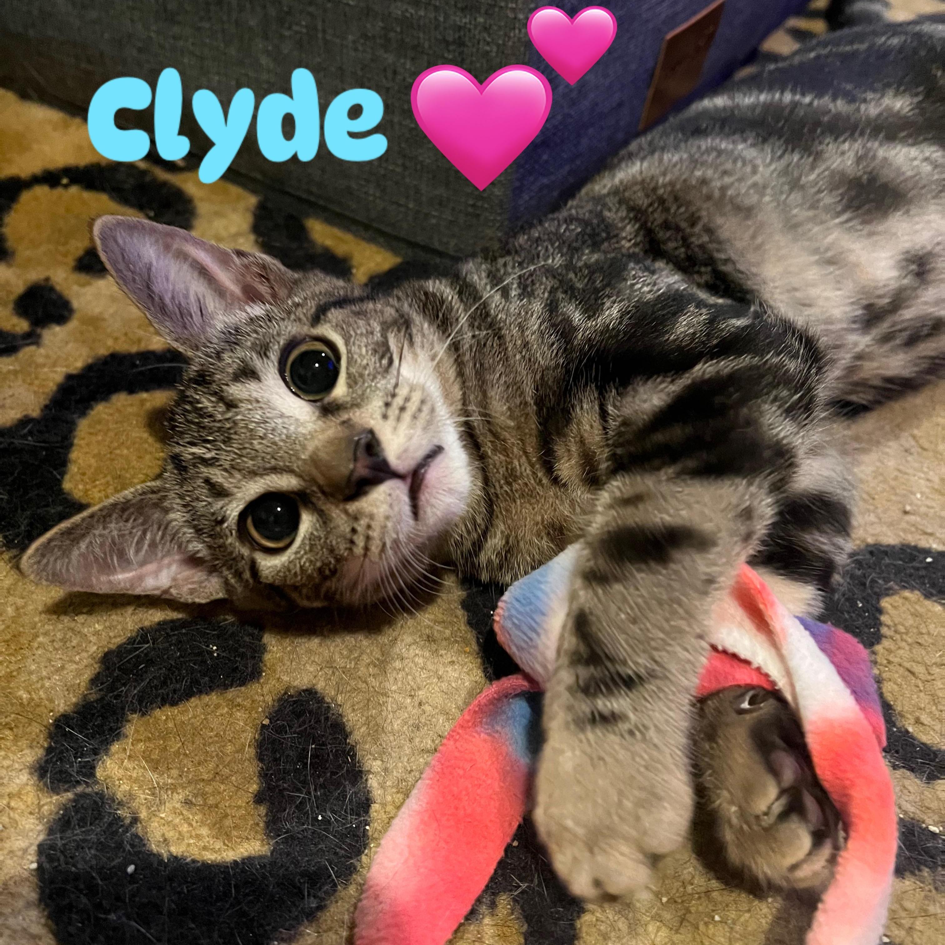 Clyde