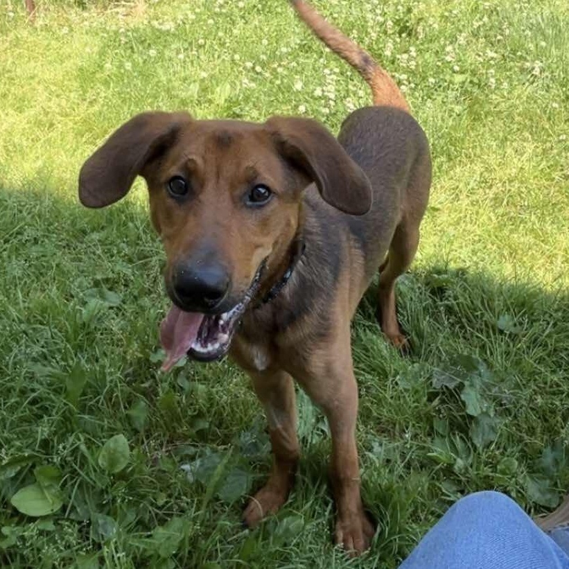 Duke
