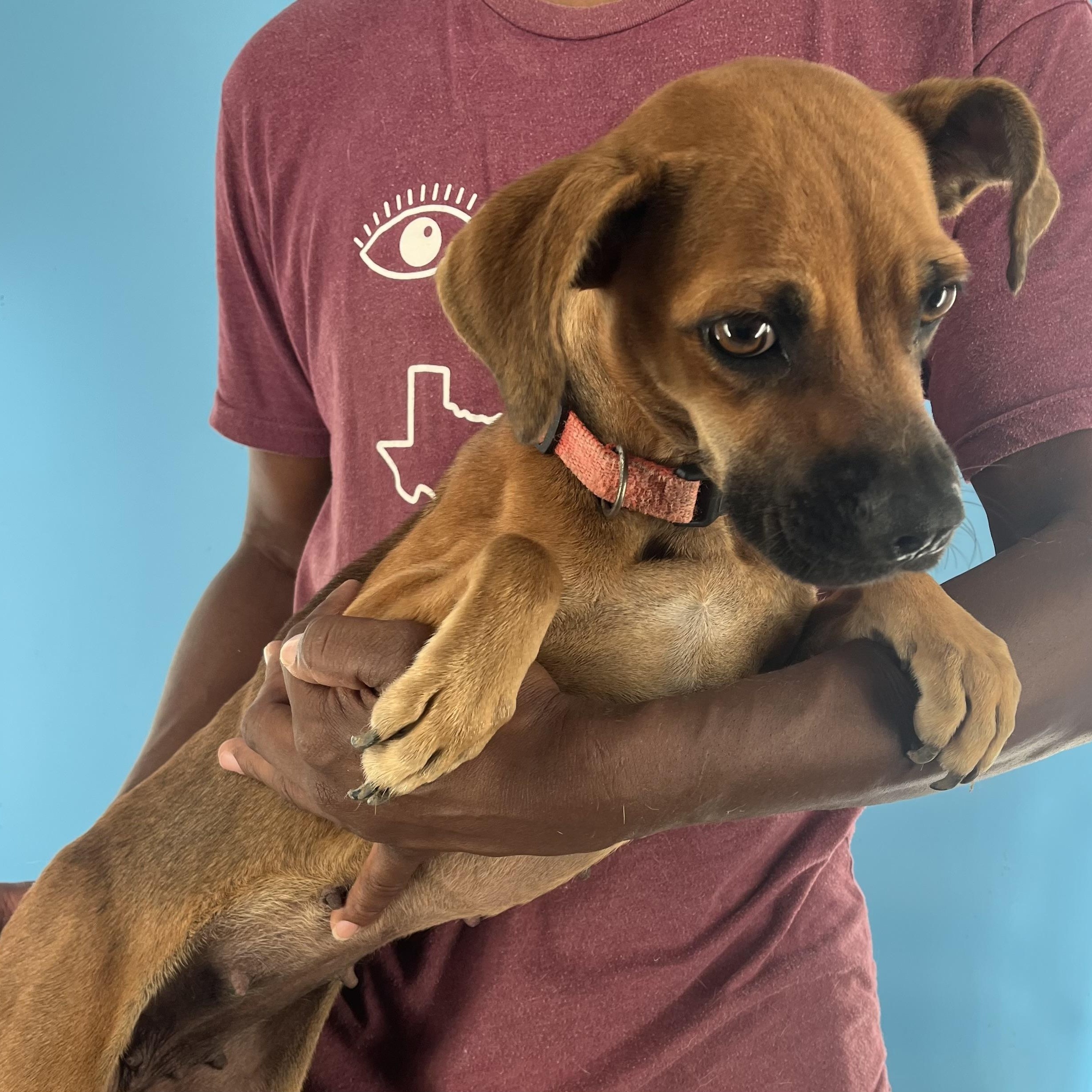 Phoenix - Local Sept 26-28