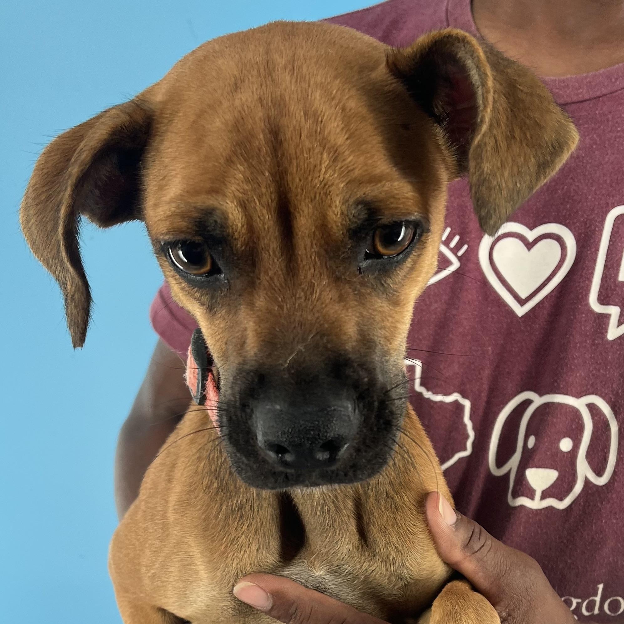 Phoenix - Local Sept 26-28