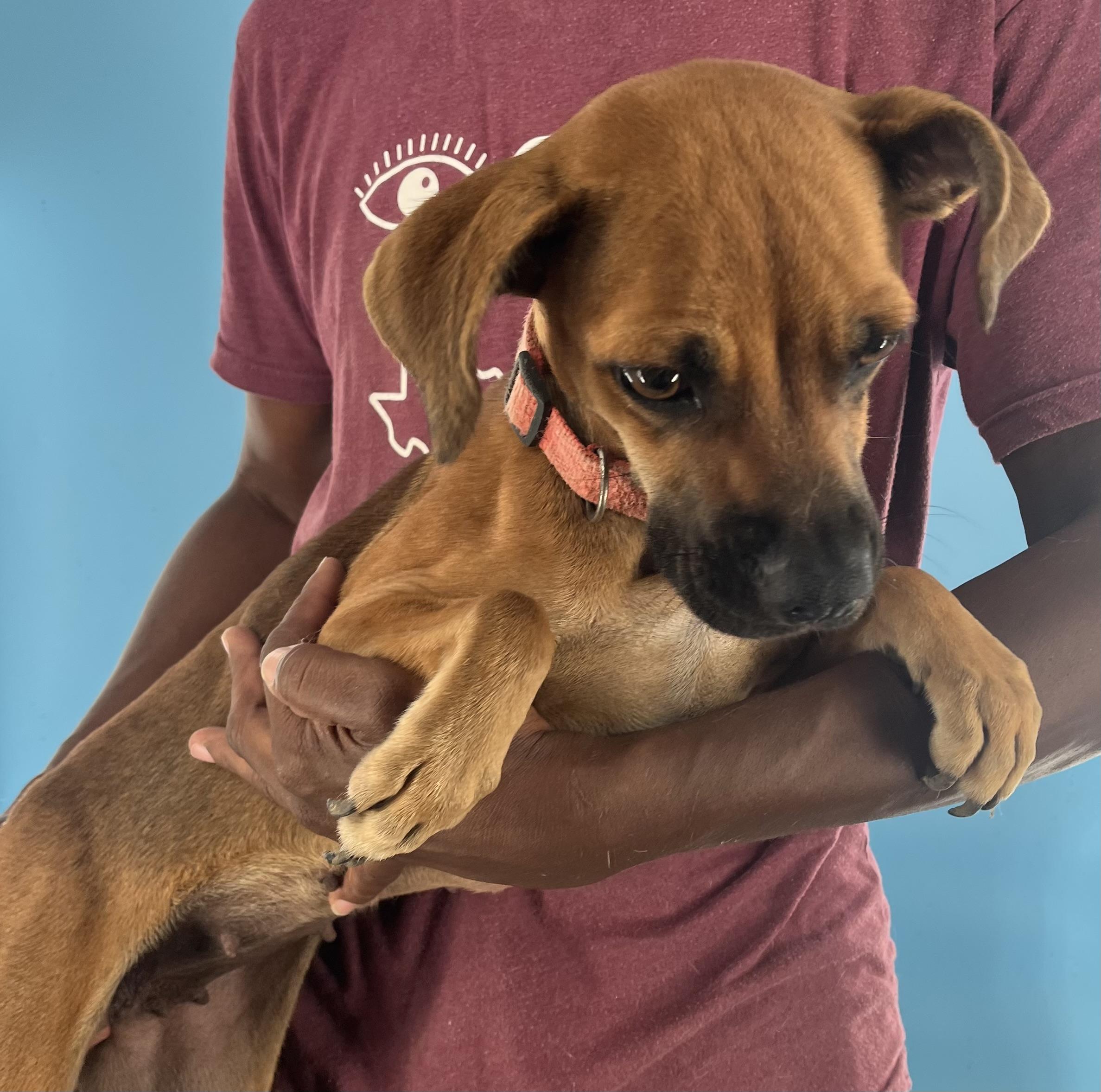 Phoenix - Local Sept 26-28