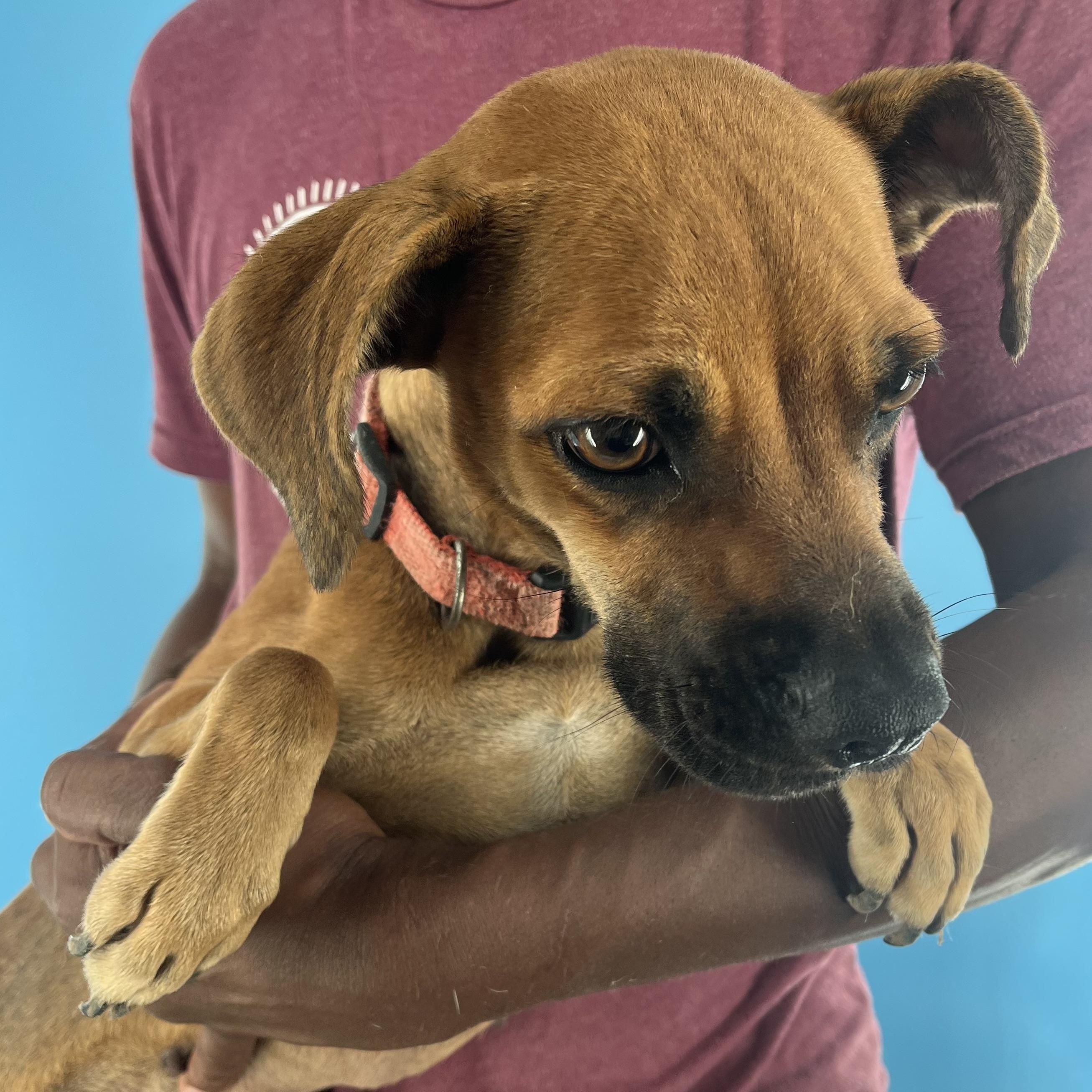 Phoenix - Local Sept 26-28