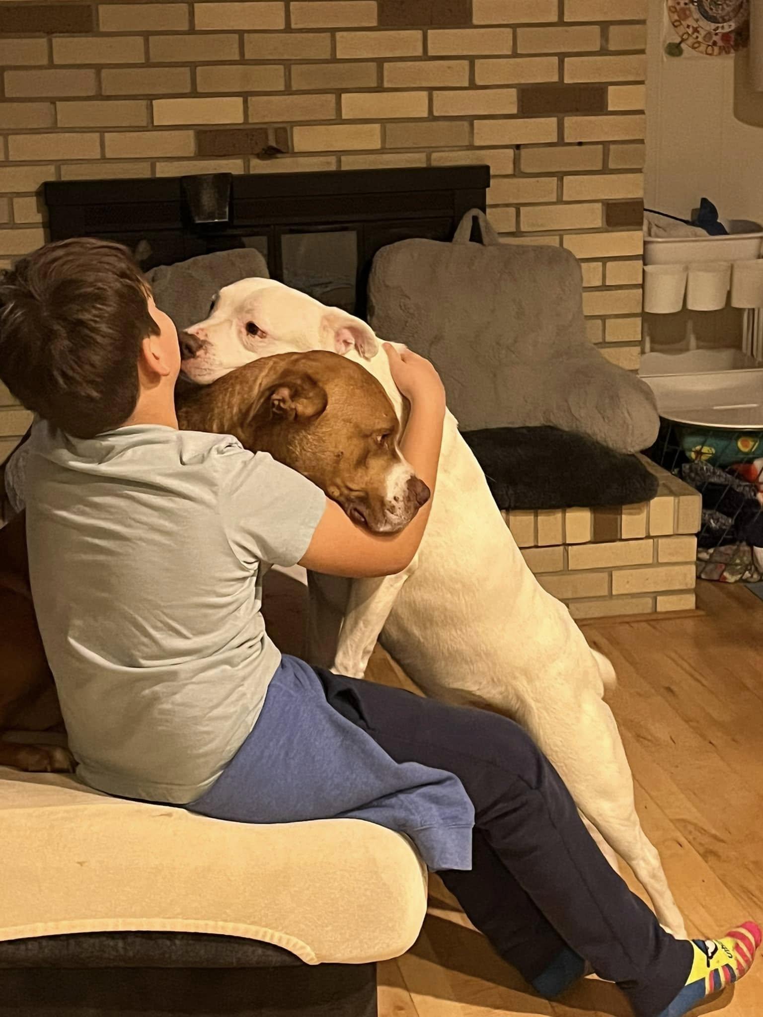 Enlarge Goose & Maverick, an adopted mixed breed in Oregon, WI image 5/6