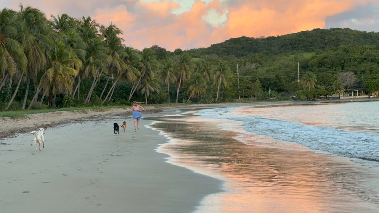 Enlarge Sawyer, a Adoptable mixed breed in Ridgefield, CT video 2/5