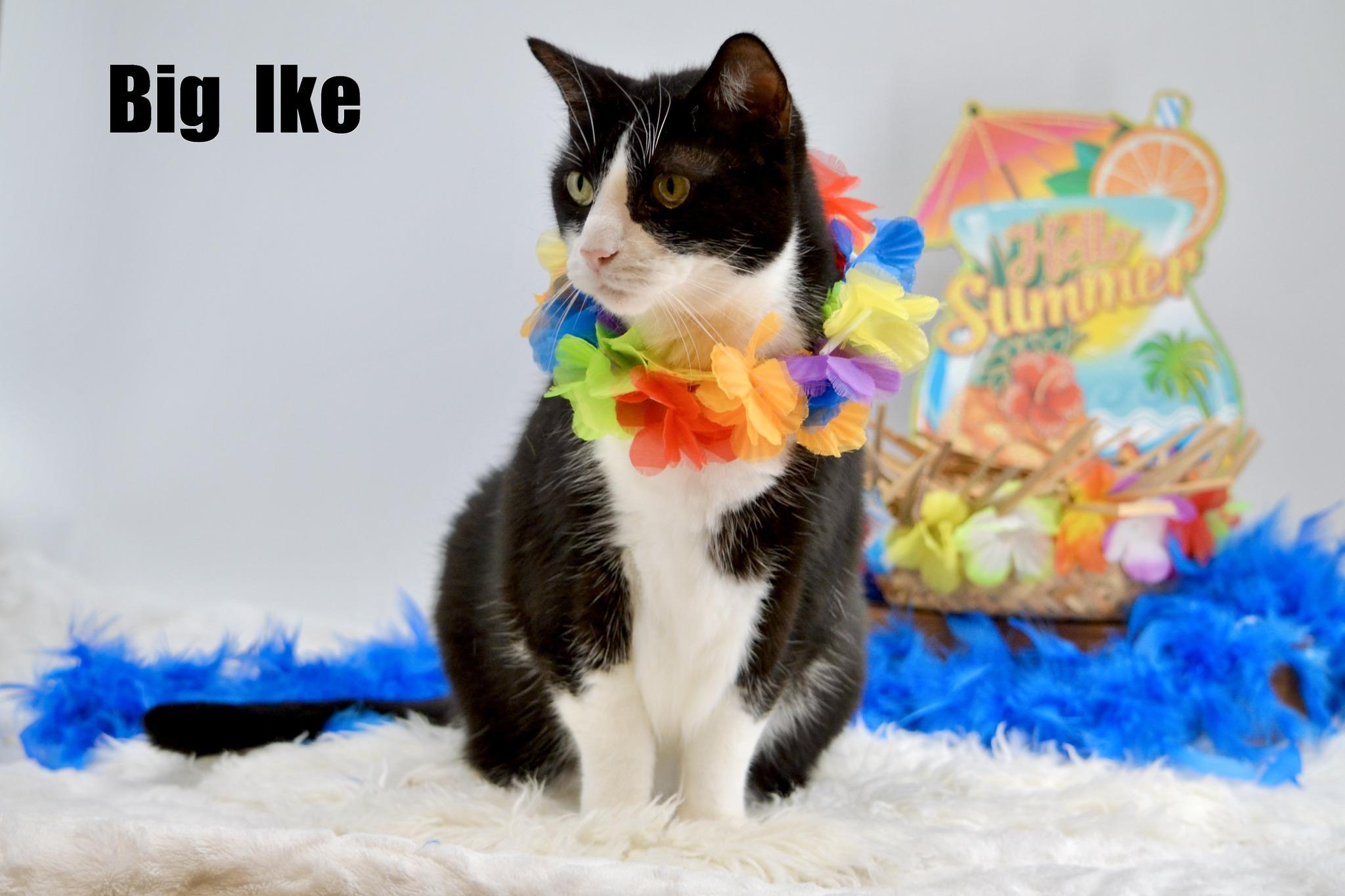 Big Ike