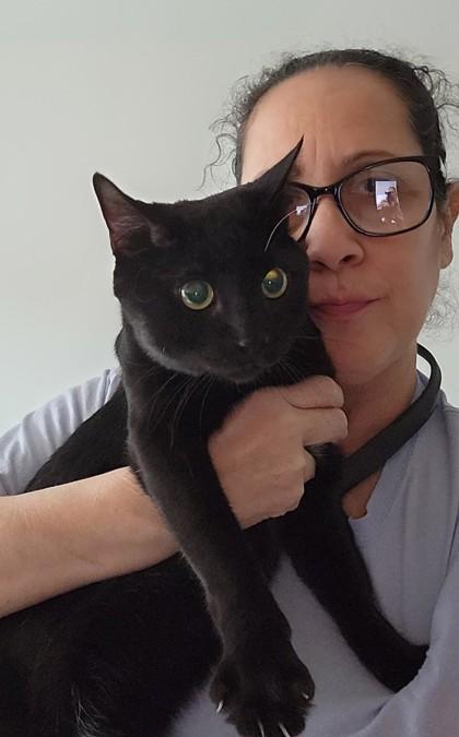 Kuro, an adopted mixed breed in New York, NY image 3/3