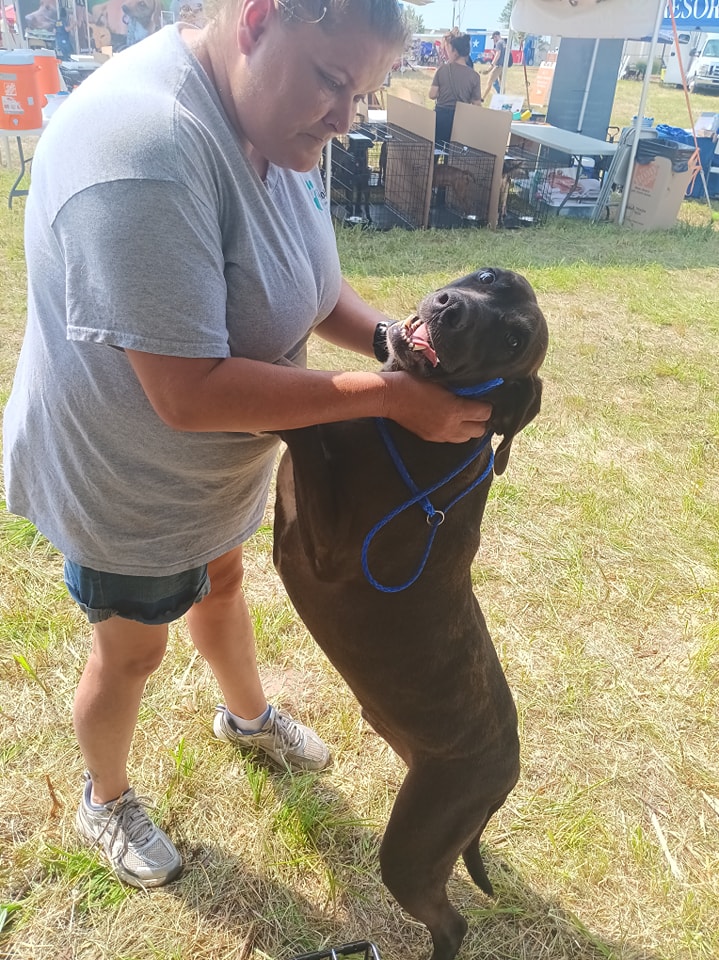 Arthur, a Adoptable mixed breed in Lonsdale, AR image 1/12