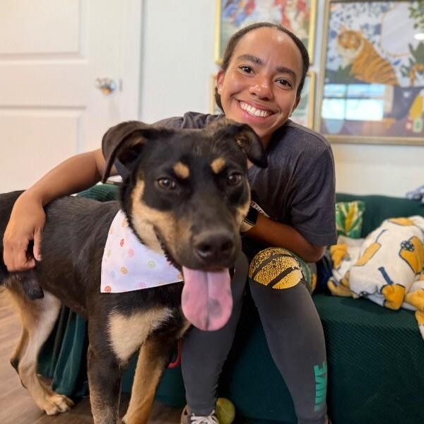 Dobbie Boy the Ultimate Pawsome Buddy — thumbnail 5