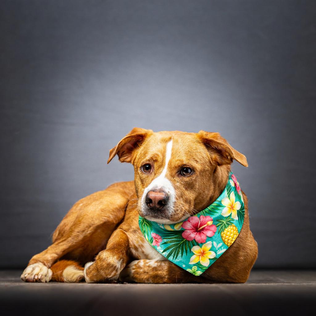 Phillip — thumbnail 3