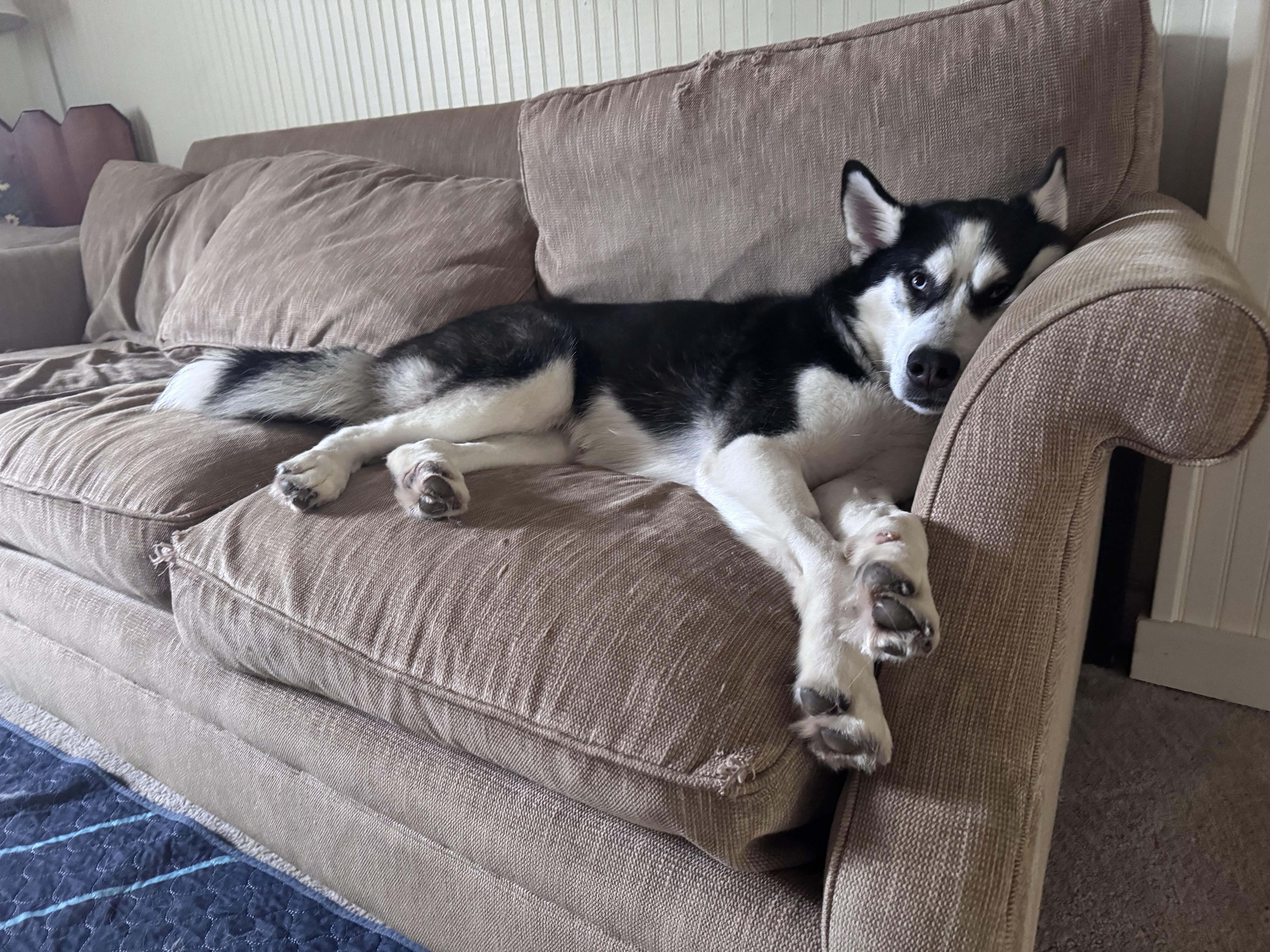 Calvin photo 2