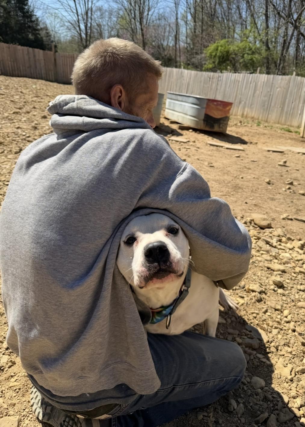 Enlarge Shiro, a ADOPTABLE mixed breed in Scottsville, KY image 3/5