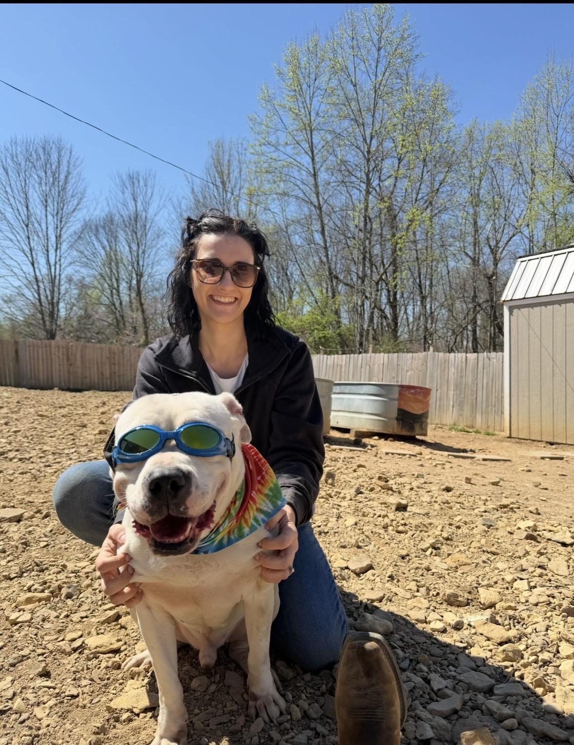 Enlarge Shiro, a ADOPTABLE mixed breed in Scottsville, KY image 4/5