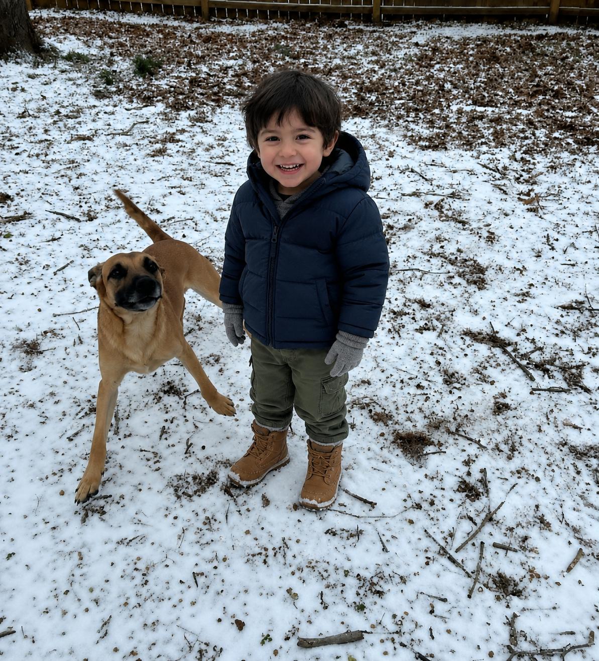 Duke and Max, a ADOPTABLE mixed breed in Monroe, NC image 3/4