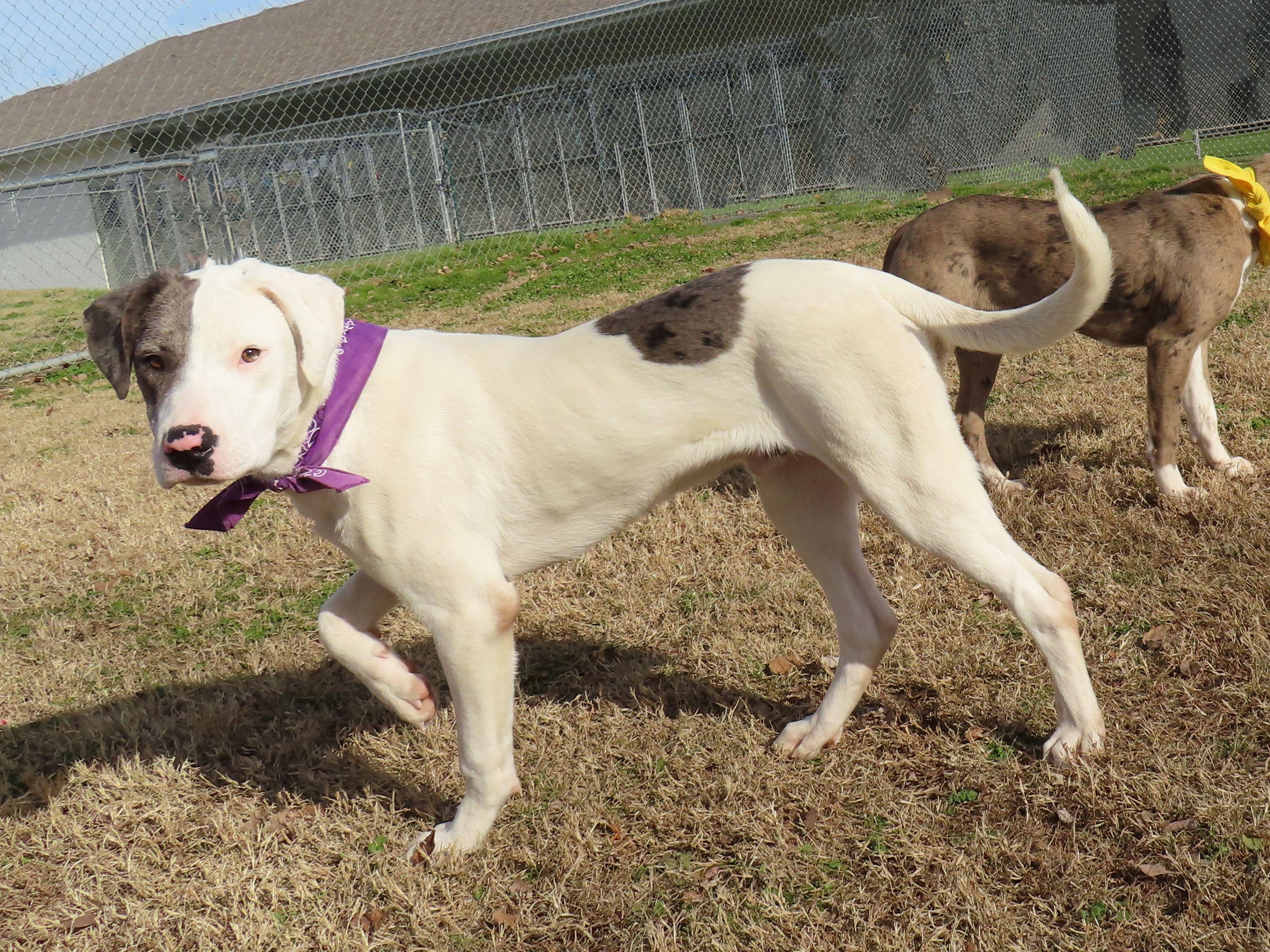 Denny  Cb thumbnail 2