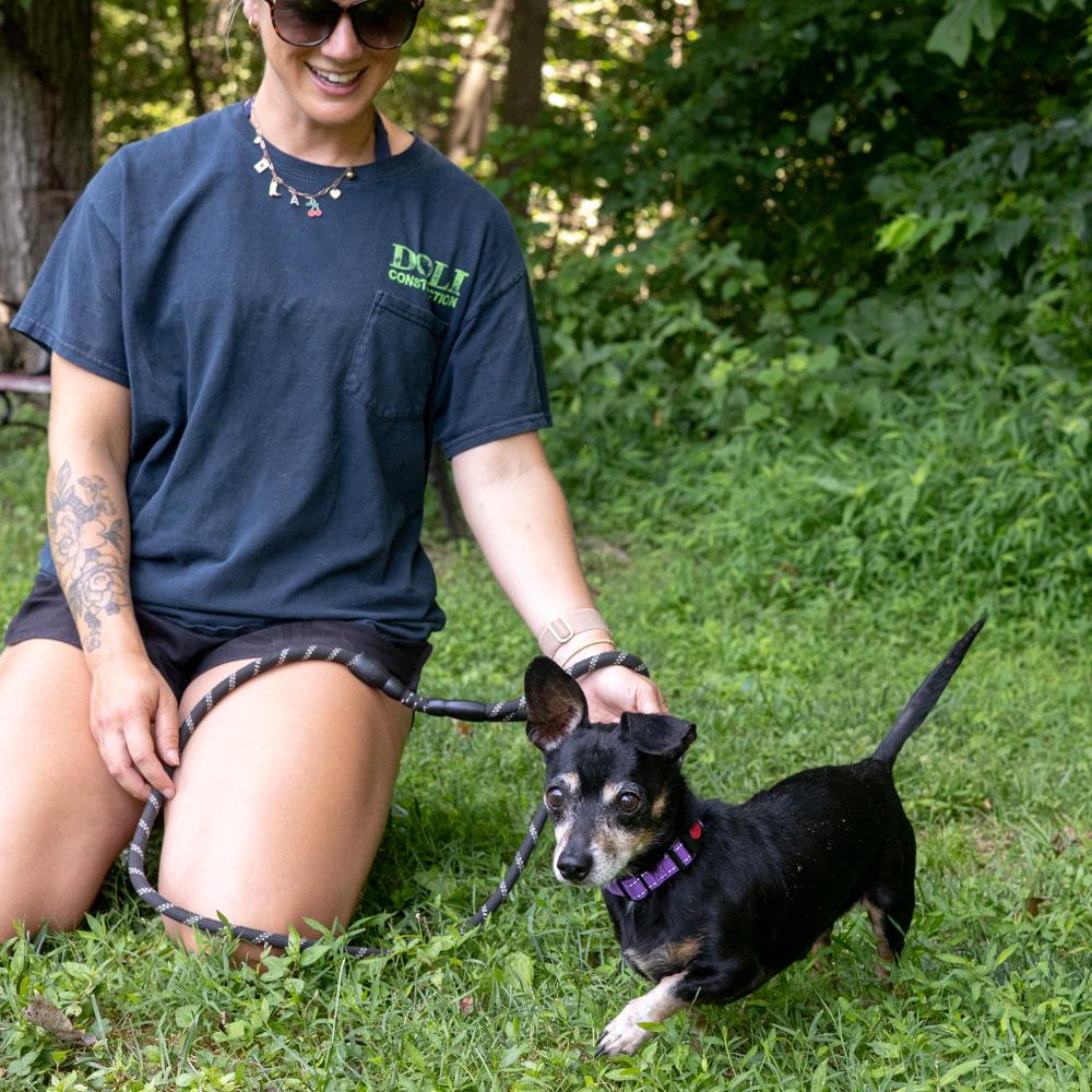 Jax (Male) Avail 8/1 He is being adopted, an adopted Dachshund in West Grove, PA image 5/6