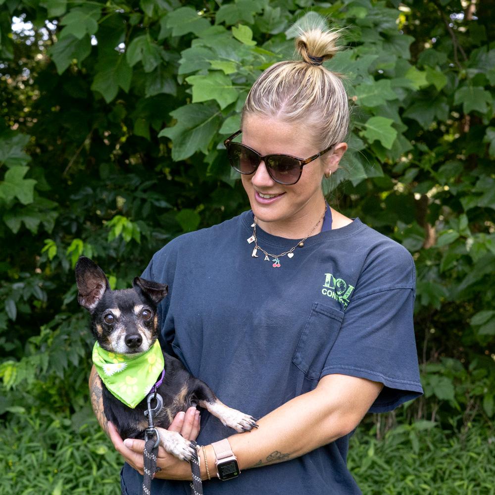 Jax (Male) Avail 8/1 He is being adopted, an adopted Dachshund in West Grove, PA image 3/6